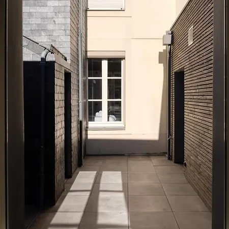 L'ardoise, L'anjou, La Vigne Et La Loire * Angers