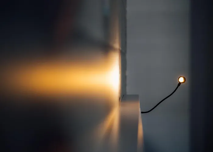 L'ardoise, L'anjou, La Vigne Et La Loire *