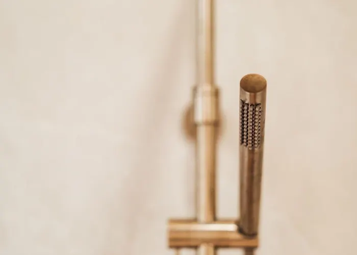 L'ardoise, L'anjou, La Vigne Et La Loire