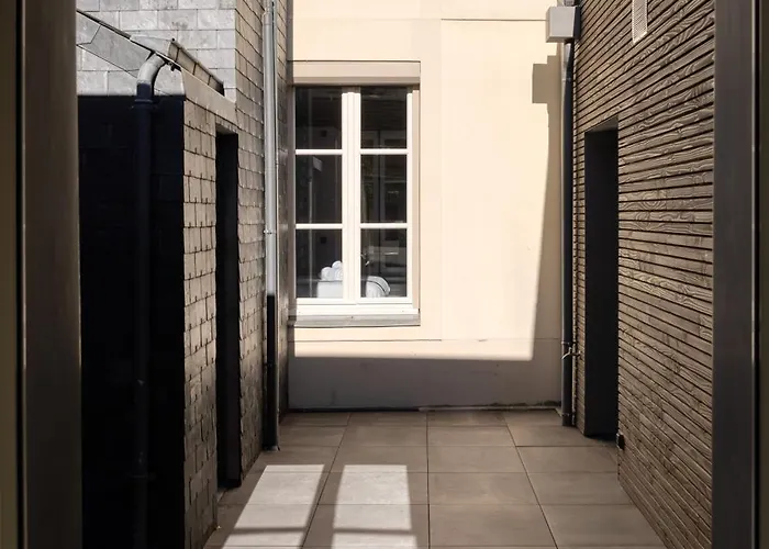 L'ardoise, L'anjou, La Vigne Et La Loire * Angers